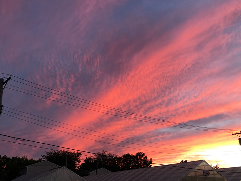 Illustration for article titled Beautiful Sunset